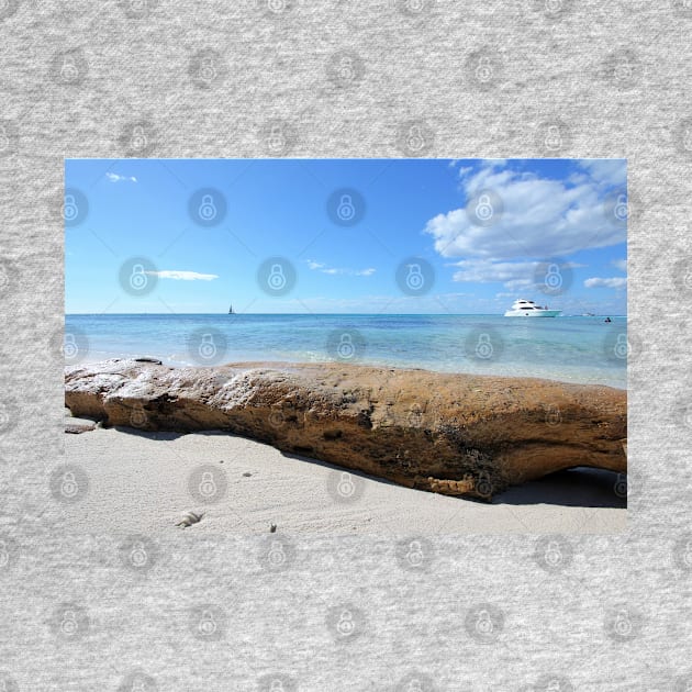 Driftwood on Isla Saona Beach by Christine aka stine1